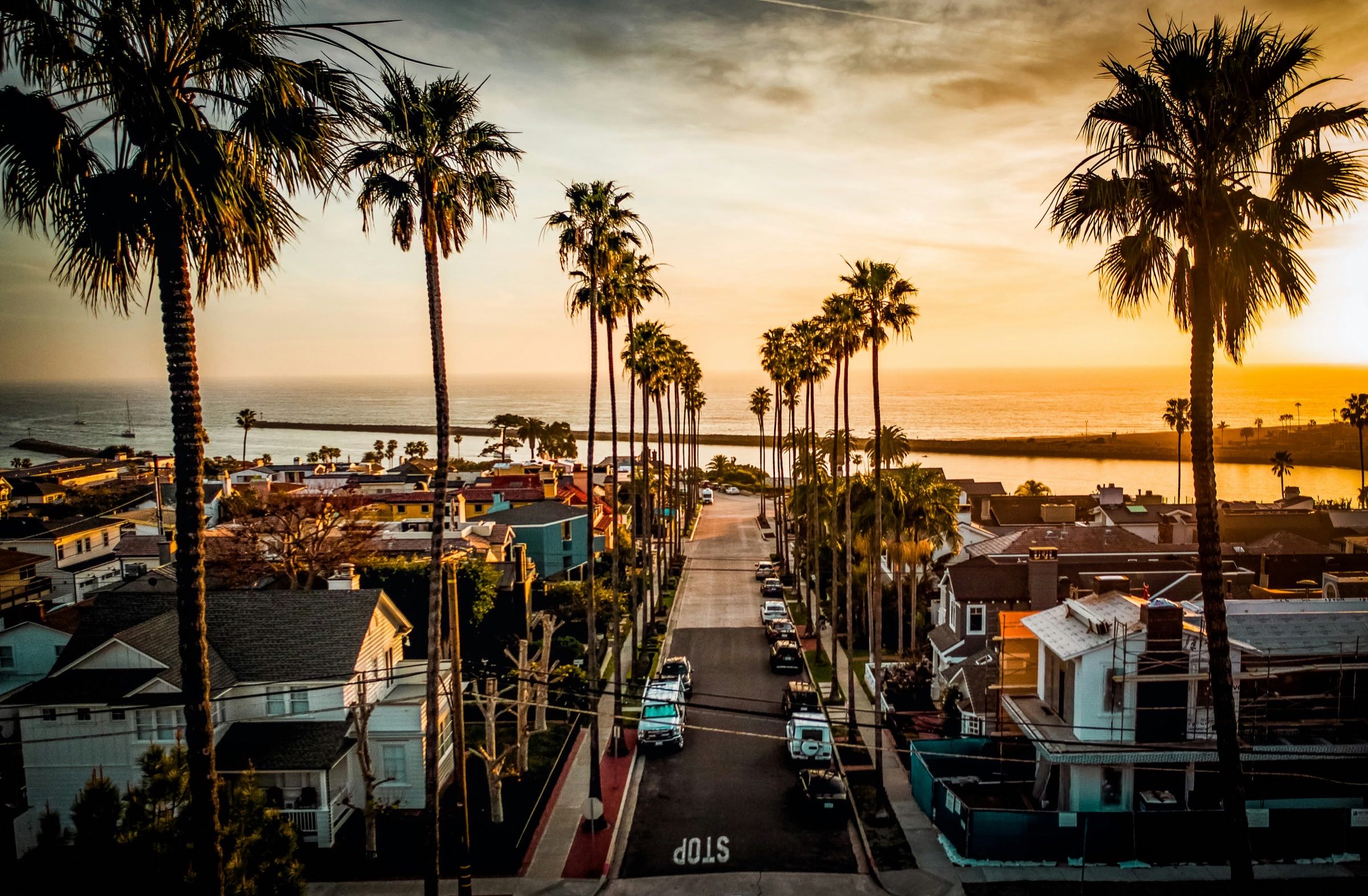 Palm-lined streets on the Balboa Peninsula at sunset